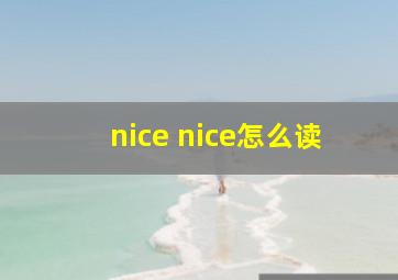 nice nice怎么读